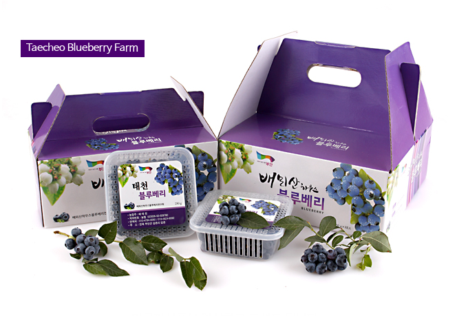 태천 생과 블루베리 250g 개별 용기와 포장 상자